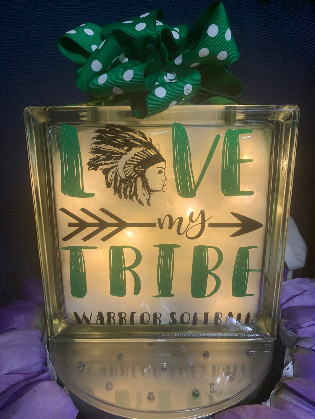 🏡Athens Illinois Warriors Softball Glass Block ❣️