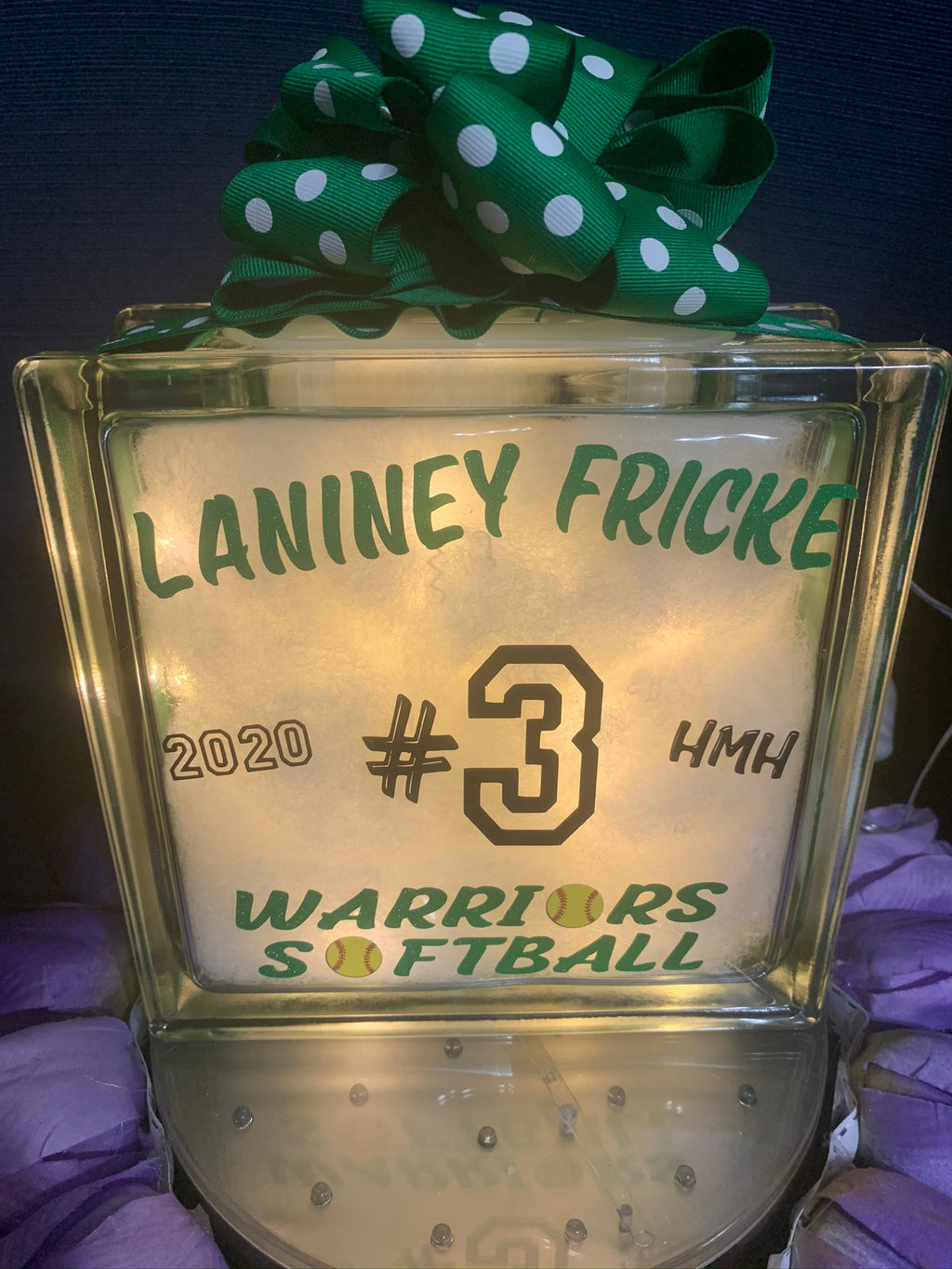 🏡Athens Illinois Warriors Softball Glass Block ❣️