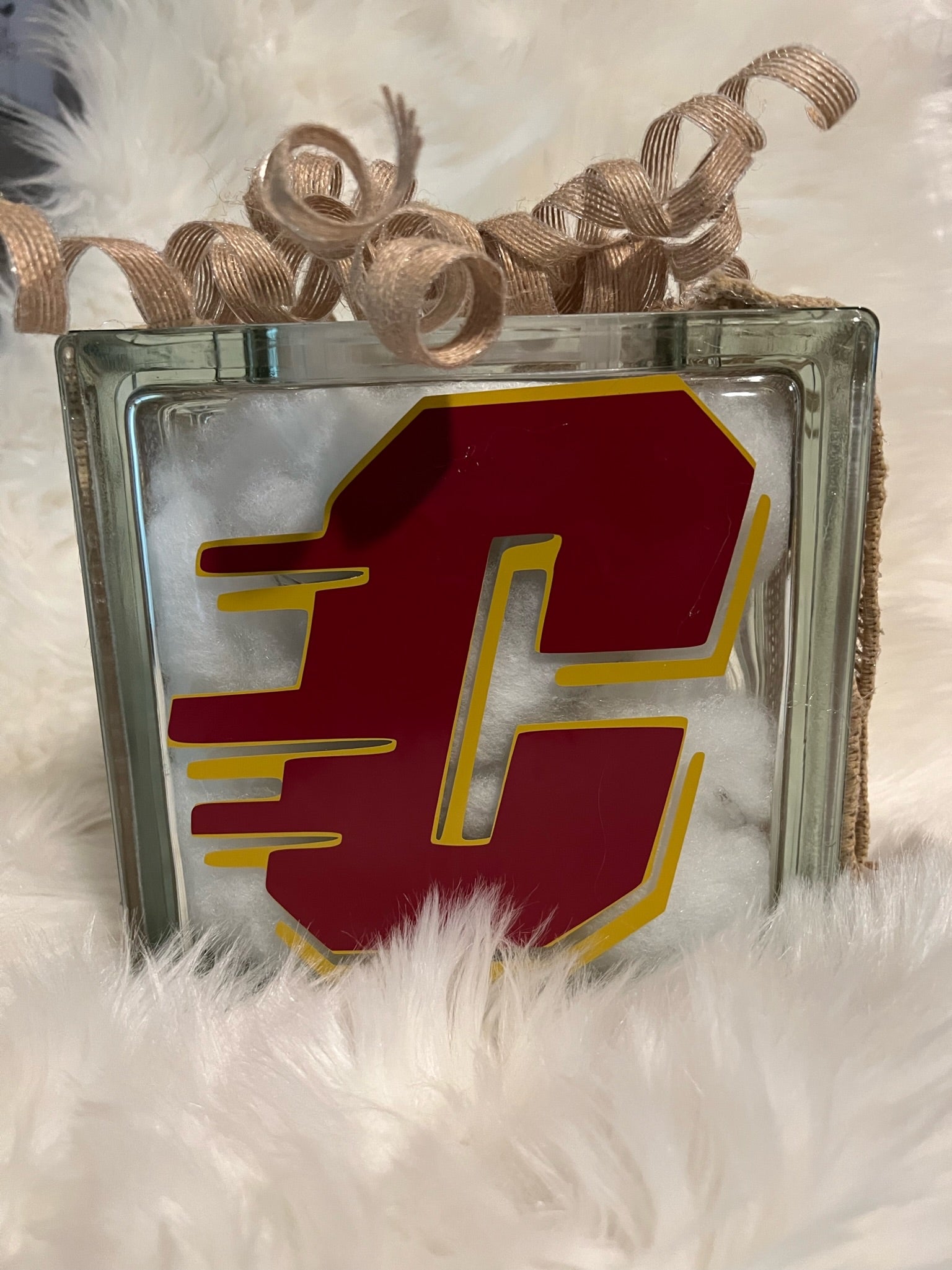 🏡Clinton Maroons Illinois Glass Block 💙