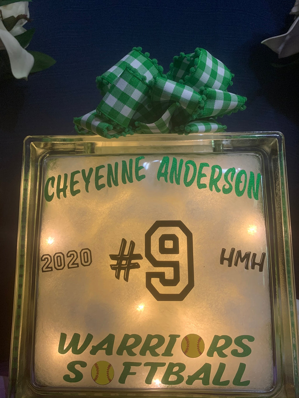 🏡Athens Illinois Warriors Softball Glass Block ❣️