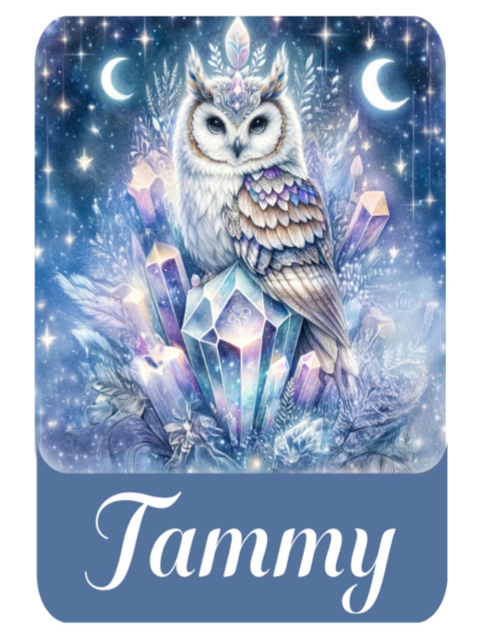 🗃️Owl ID Holder💓