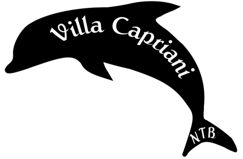 🎨Villa Capriani North Topsail Beach Condos Digital Art Package💛