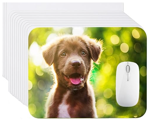 🗃️Villa Capriani Mouse Pad💓