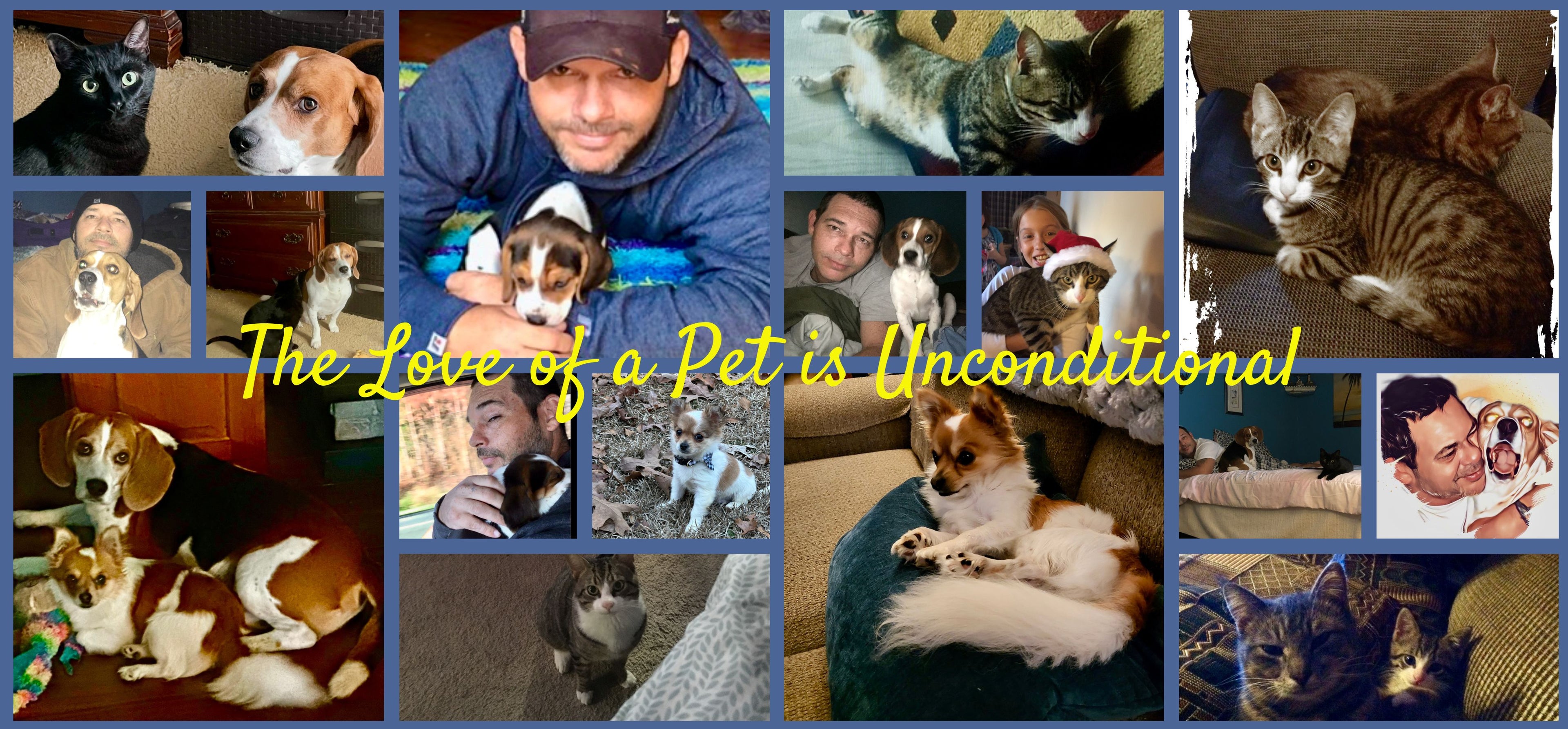 🏡🐩Love of a Pet is Unconditional Decorative Plaque💙